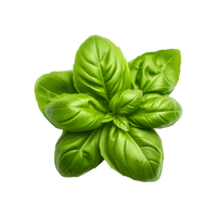 <h4><strong>ASHWAGANDA</strong></h4>
