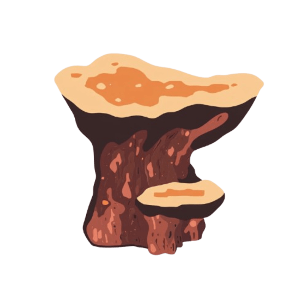 <h4><strong>CHAGA</strong></h4>