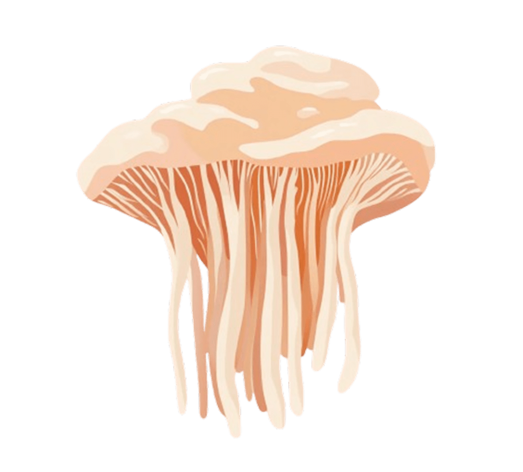 <h4><strong>LIONS MANE</strong></h4>