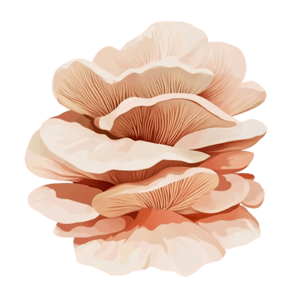 <h4><strong>MAITAKE</strong></h4>